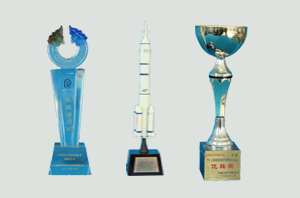 发展潜力奖，优胜奖，神舟号